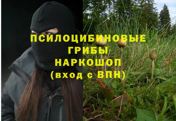 мдма Дмитров