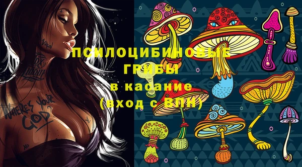 mdma Дмитровск