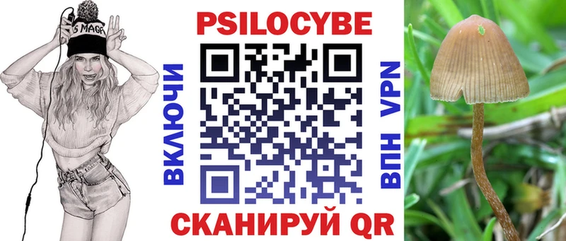 Галлюциногенные грибы мицелий  купить закладку  Чердынь 