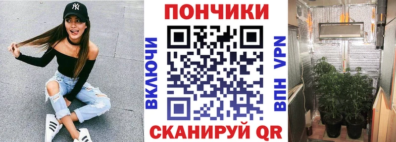 omg как войти  даркнет сайт  Чердынь  Бошки марихуана планчик 